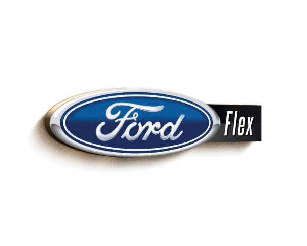 Ford Flex Backup Camera System Logo
