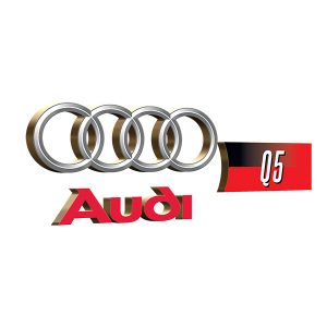 Audi Q5 CarPlay System